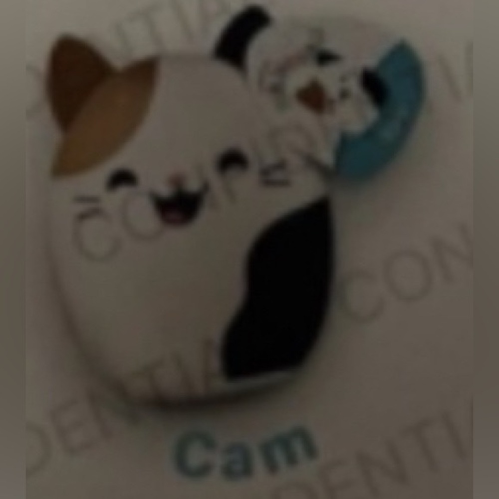 McDonald’s 2025 Squishmallows - Cam